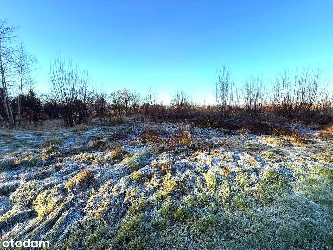 Działka budowlana o pow. 1431 m2/Włóki! - Pełny obrazek: 2/3