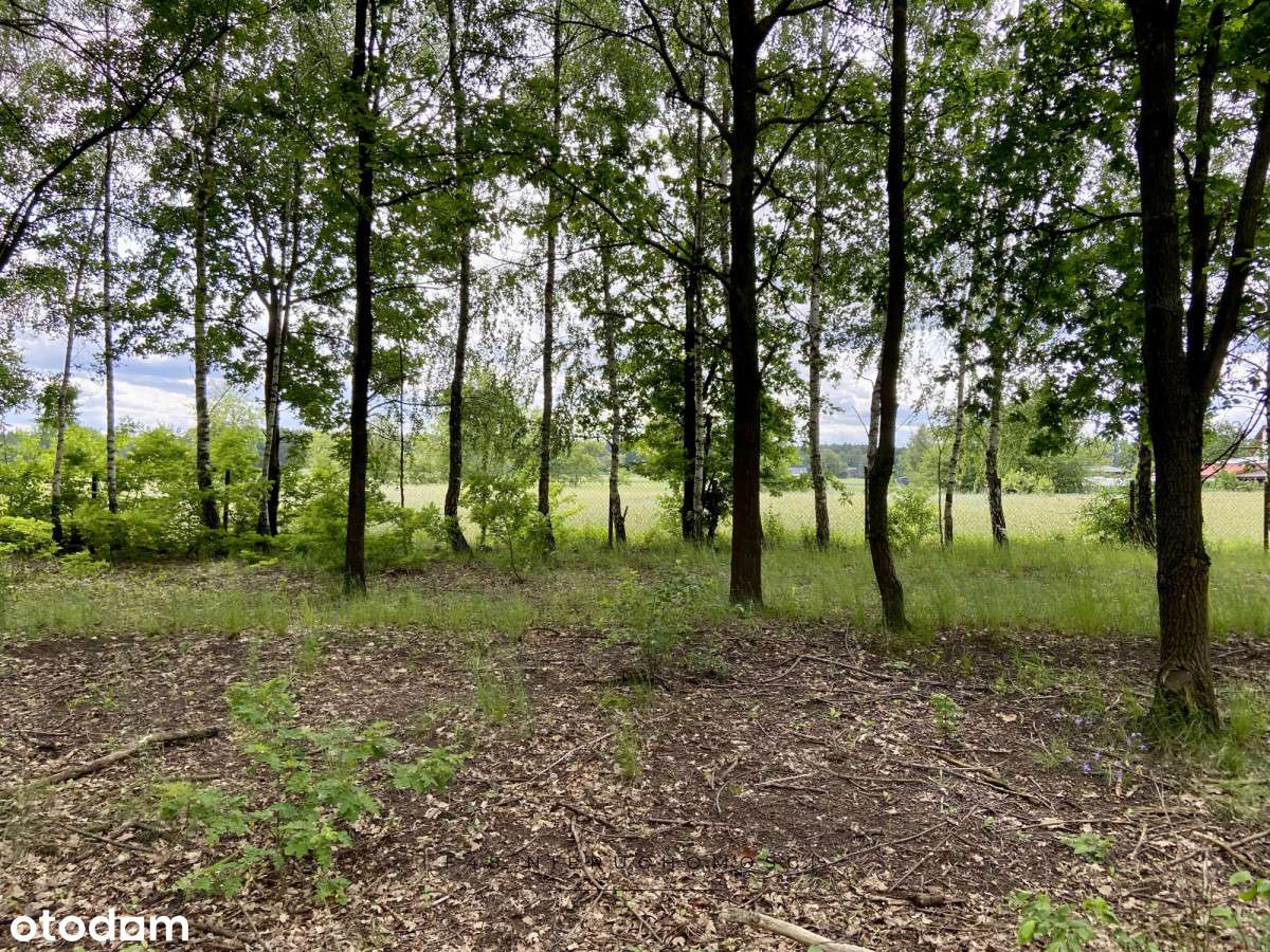 Malownicza działka nad rzeką Bug-7