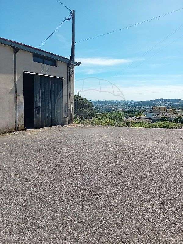 Armazém T3 para venda - Grande imagem: 4/26