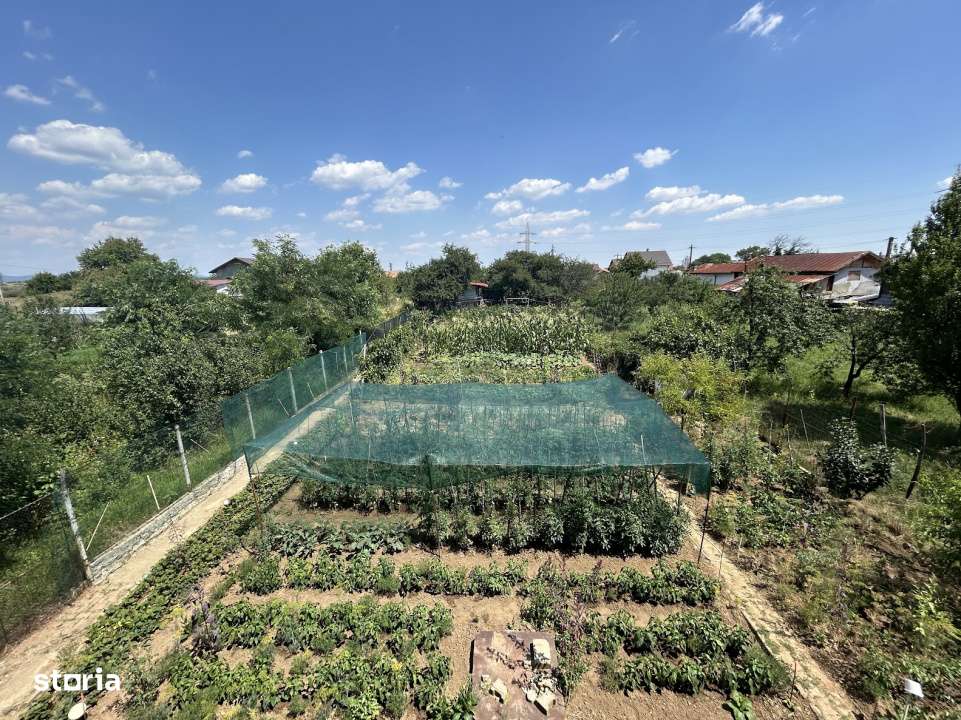 VAND O VILA IN PADUREA DIN FILIPESTI-14