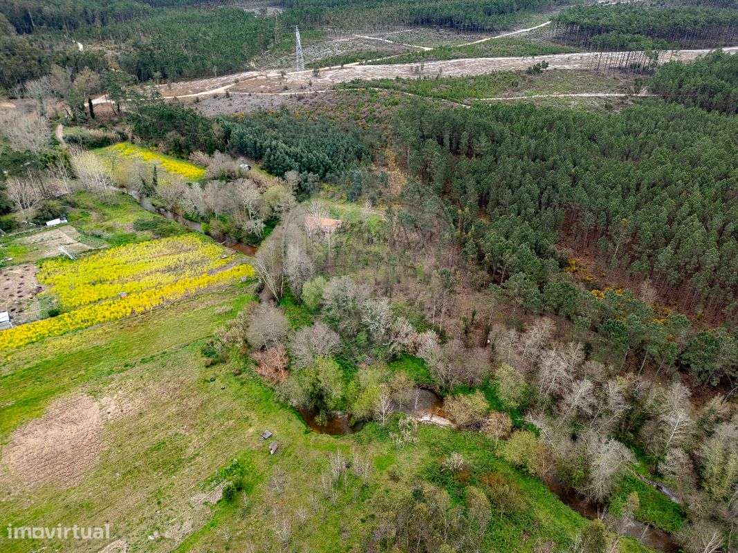 Quinta  para venda - Grande imagem: 3/19