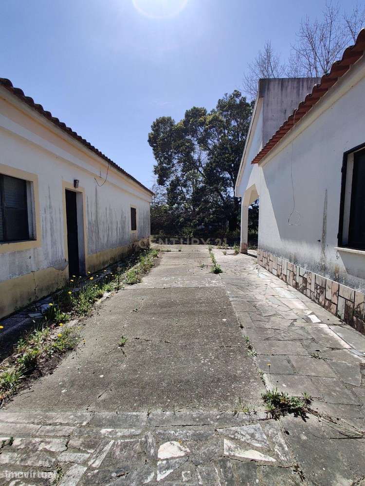 Quinta com 5000 m2  com moradia T4-15