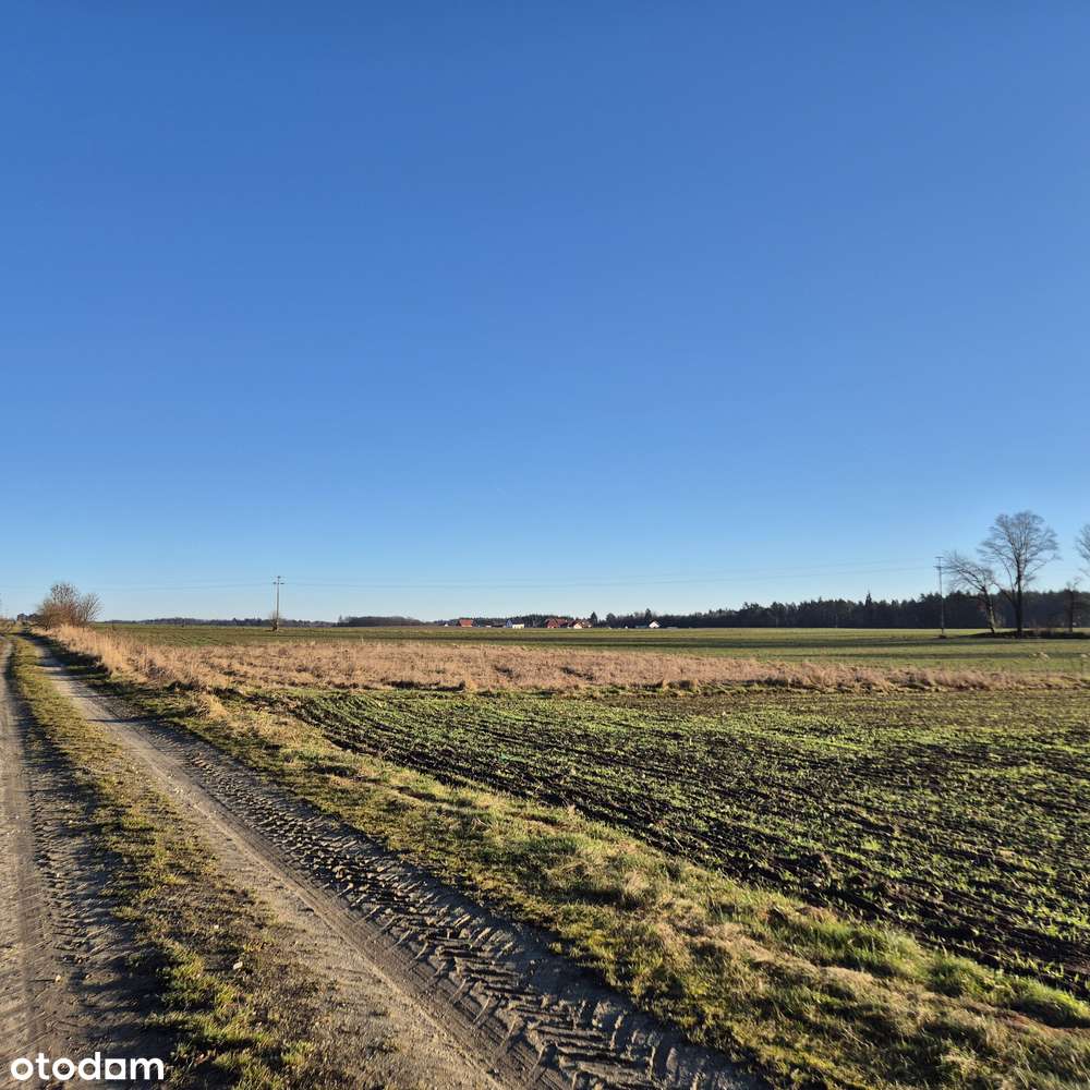 Działka przemysłowa Ligota polska 0,22ha przemysł, bazy, składy - Pełny obrazek: 4/6