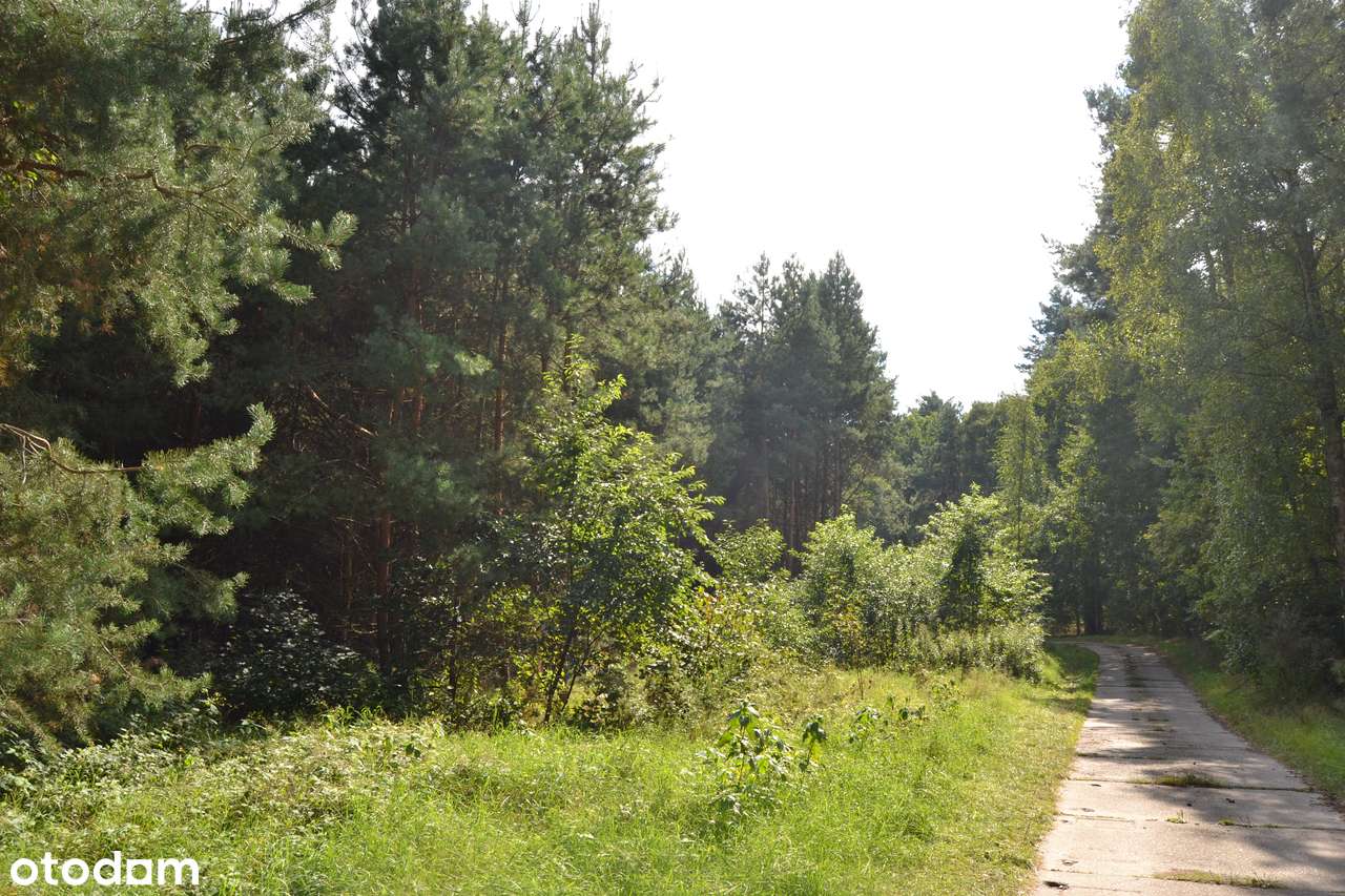Działki rekreacyjne w Dolnośląskim- las, odpoczynek, blisko Wrocławia!