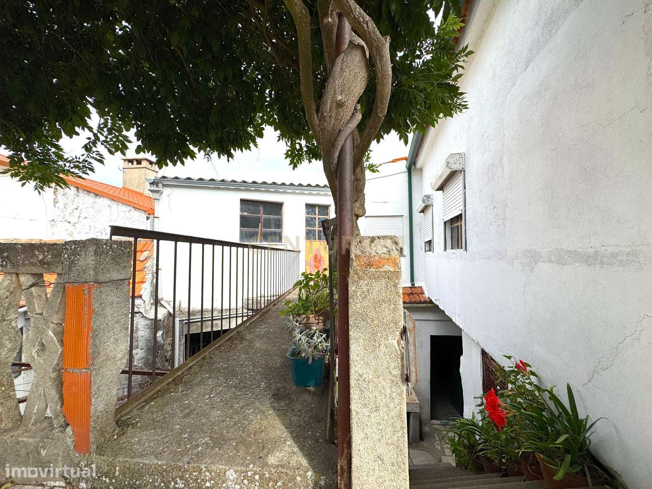 Moradia no Douro com Vinha, Sobreiros, Olivais e Terreno Urbano, Casta - Grande imagem: 5/55