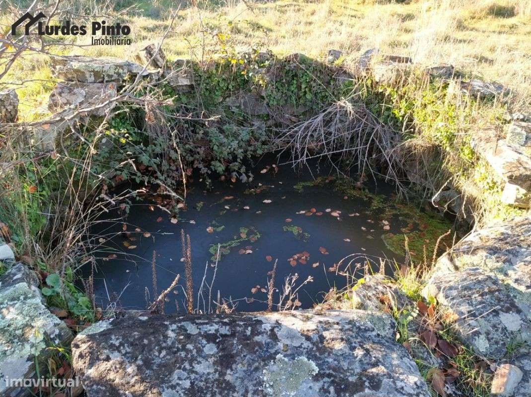 Quinta com arrecadação e muita água - Grande imagem: 4/15