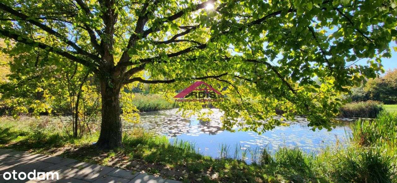 Rezydencja Stanisława Augusta-2