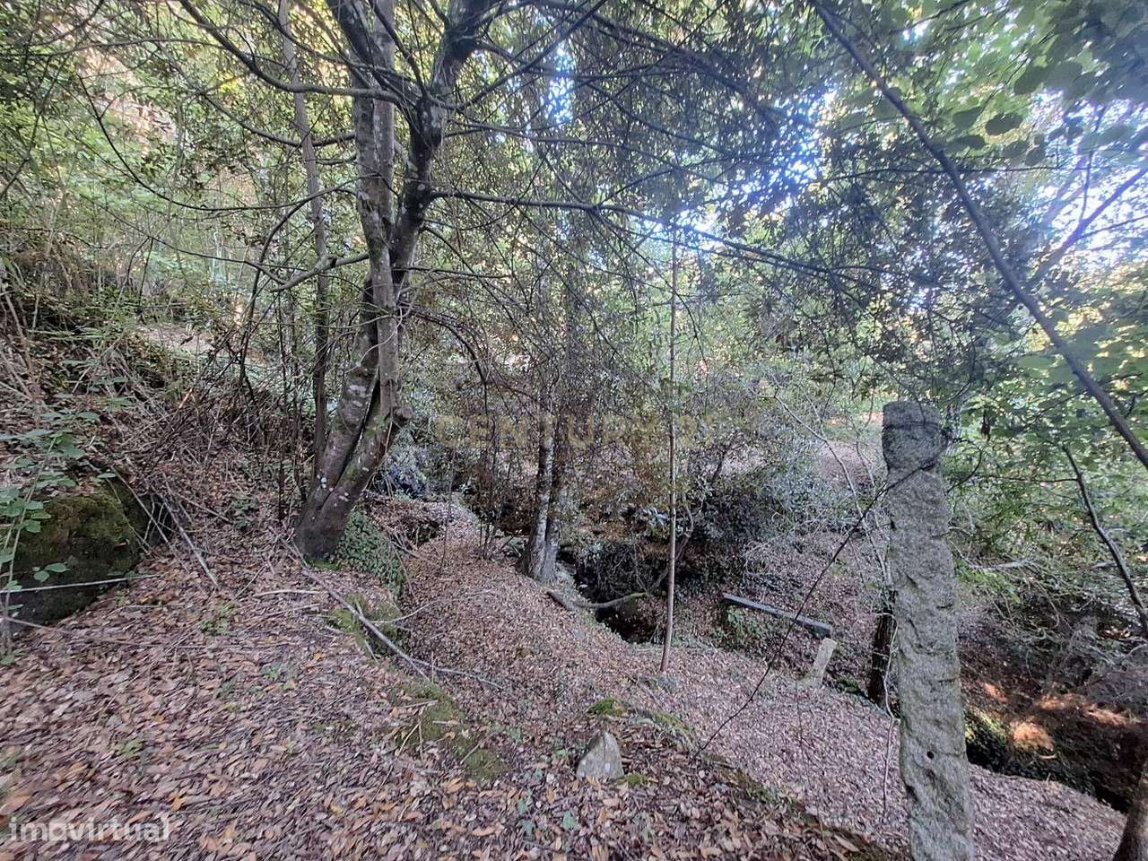 Terreno Urbano em Tropeço com Ruínas para Reconstrução - Grande imagem: 4/7