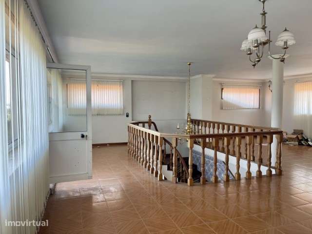 Propriedade com 8.000m² em Águeda! - Grande imagem: 5/38