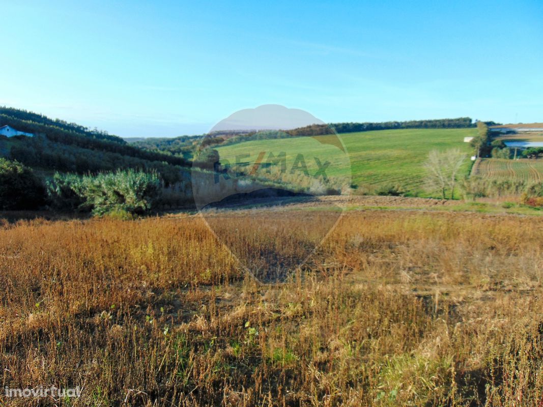 Terreno  para venda