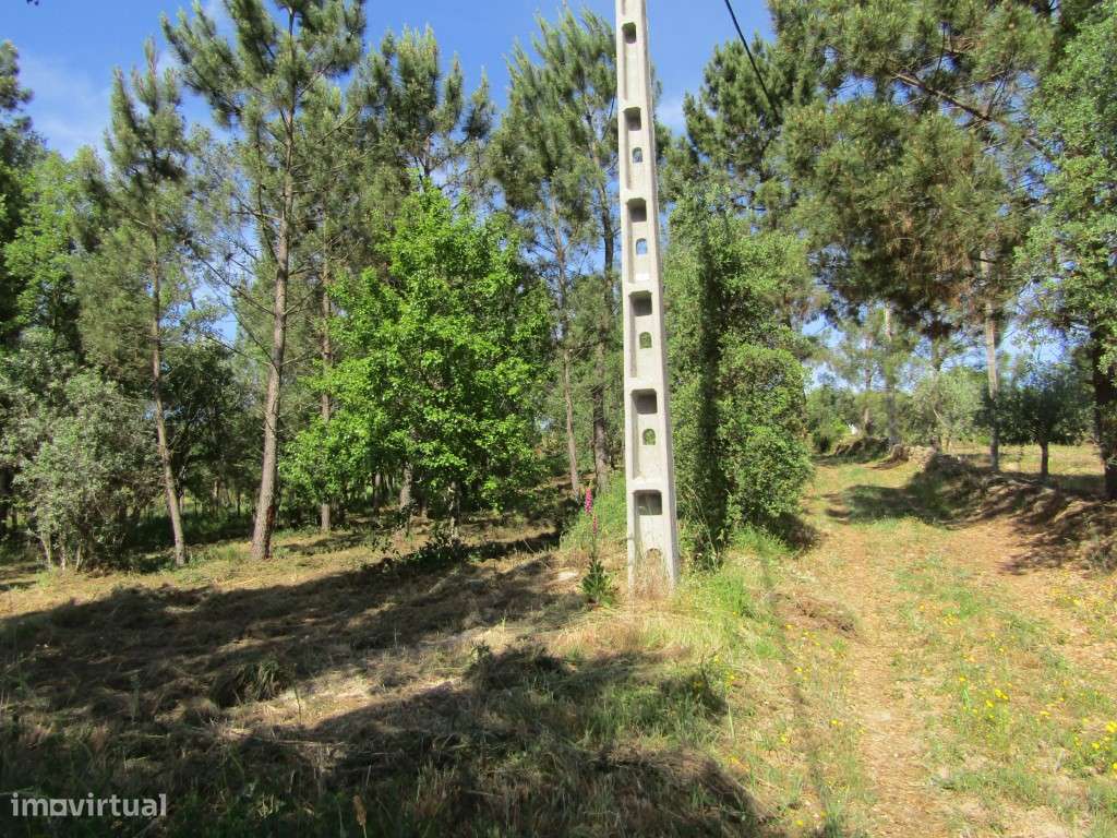 P26-238 Casal da Loba - Terreno Urbanizável no Centro de Portugal e...-7