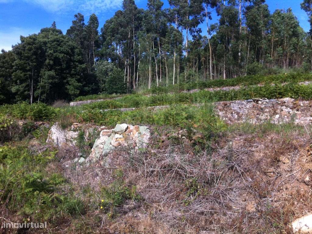 Terreno para construção em Vilar de Mouros - Grande imagem: 4/12