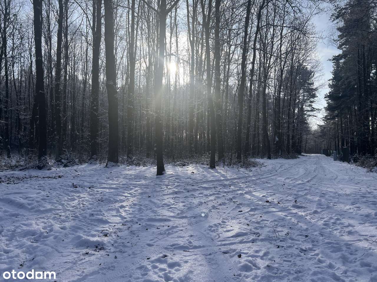 Urokliwa działka z wz na dom całoroczny, Zalew Cieszanowiski-bez %-15