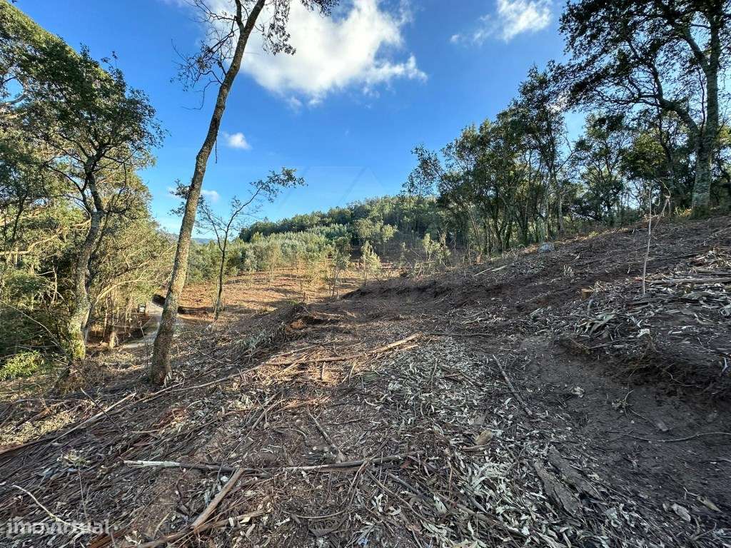 Terreno com 32.000 m2 - Grande imagem: 5/17