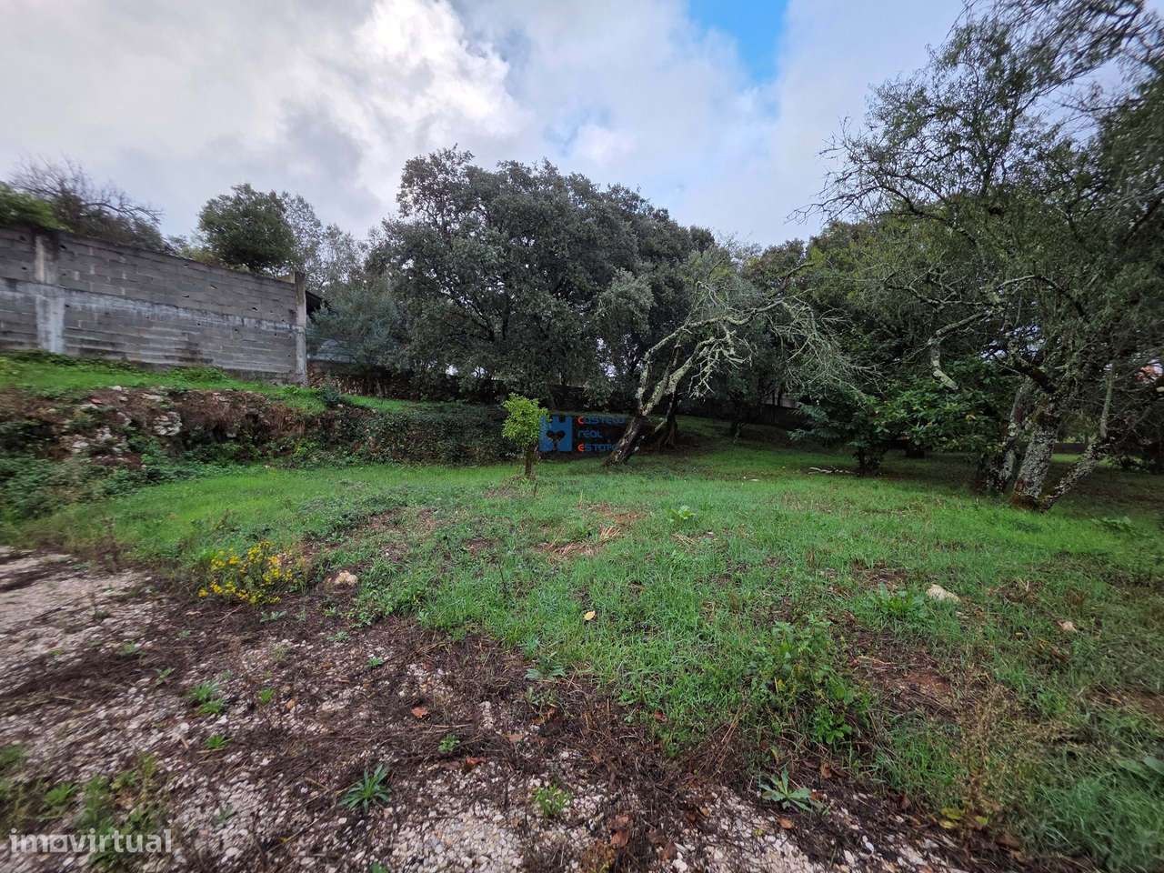 Lotes de Terreno para Construção em Fátima-33