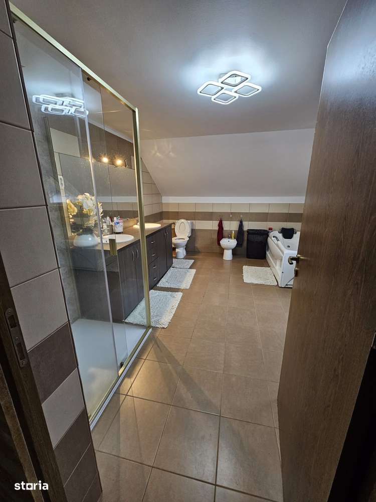 PROPRIETATE DE EXCEPȚIE – ZONĂ ULTRACENTRALĂ, BAIA MARE - Imagine principală: 5/17