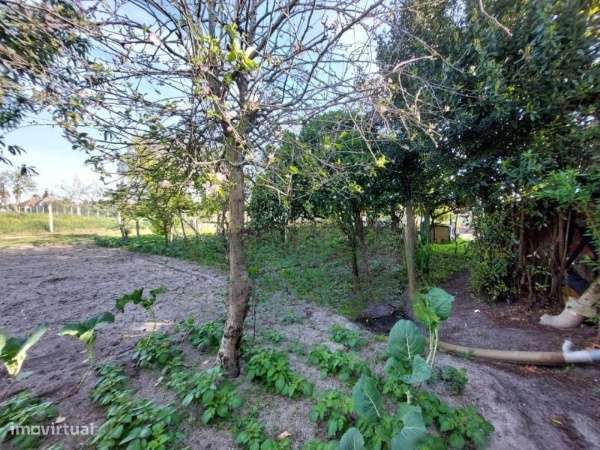 Moradia em Ferreira A Nova -Figueira da Foz-6