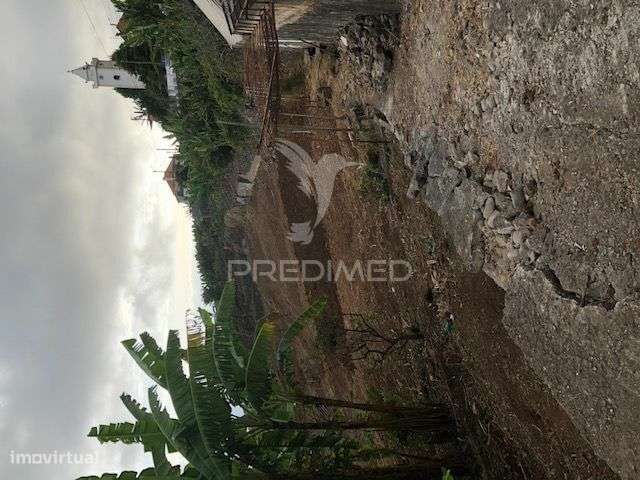 TERRENO NA PONTA DO SOL (5.100M2) - Grande imagem: 4/7