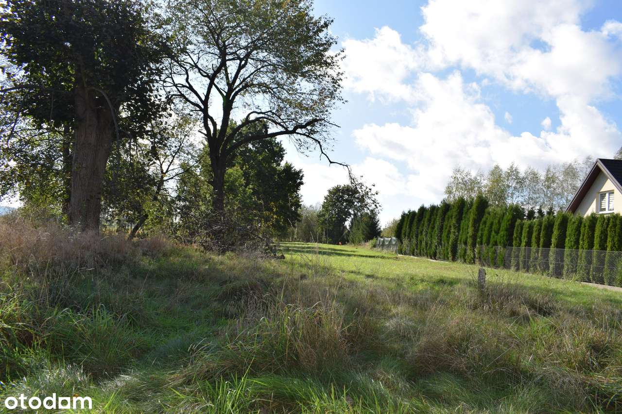 Dom do remontu w Głowience na 38 a działce - Pełny obrazek: 5/14