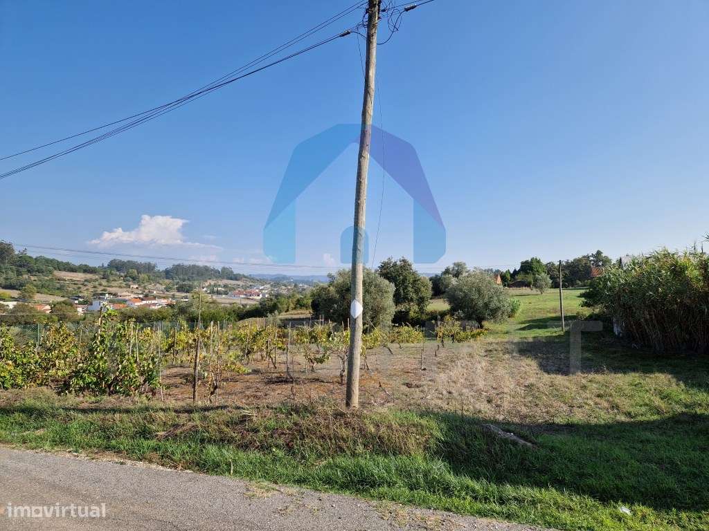 Terreno com Viabilidade de Construção - Pombal-1