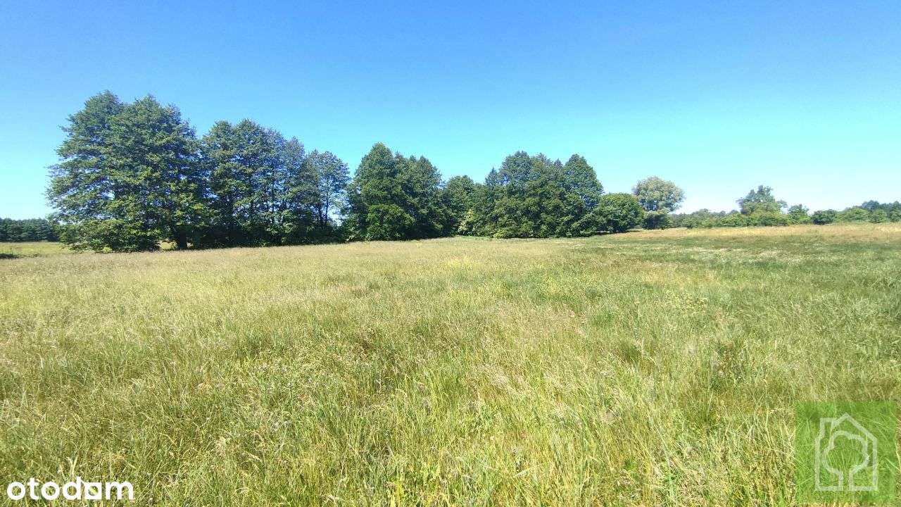 Działka, 3 001 m², Gutowo - Pełny obrazek: 5/7