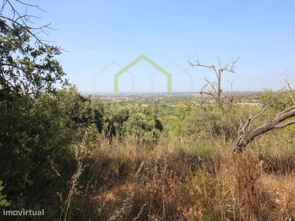 Ruína com terreno e Parcial Vista Mar, Estoi - Grande imagem: 2/6