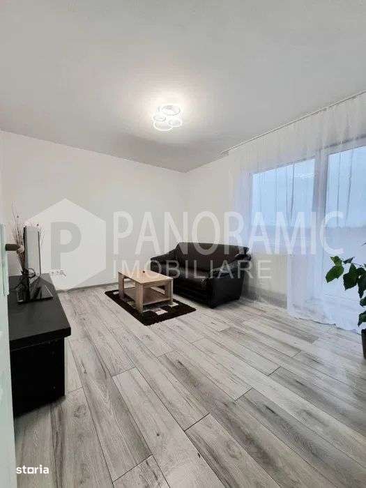 Apartament cu 2 camere Traian Vuia zona Ambient-2