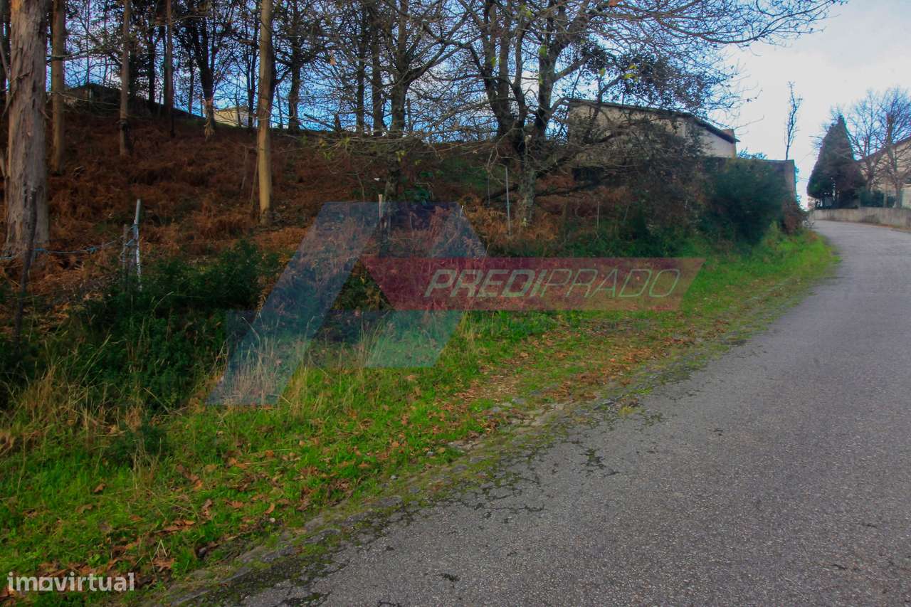 Terreno florestal com 4500m2! - Grande imagem: 5/6