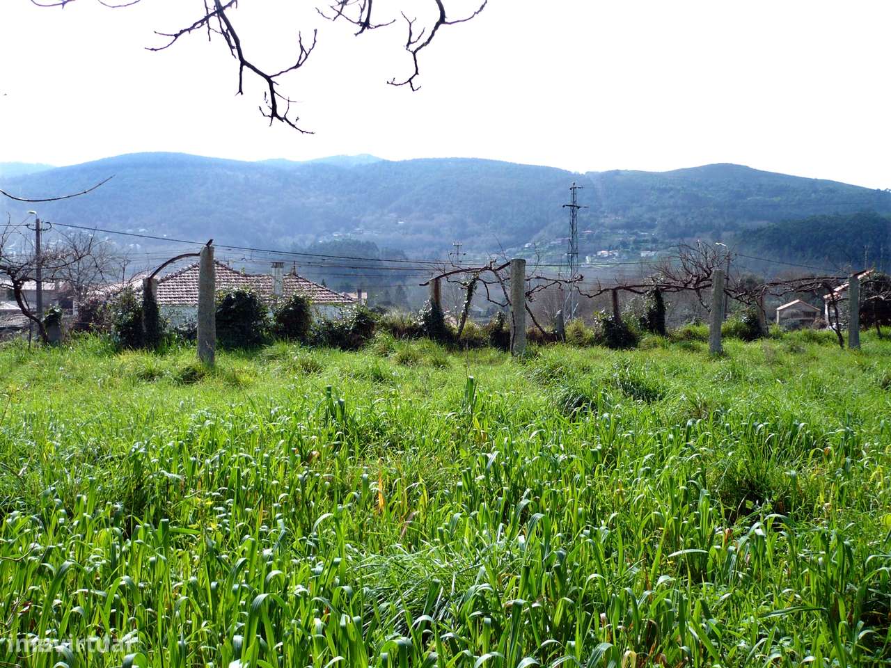 Quinta Minhota em Covas: Pedra, Água de Mina e Vistas Infinitas-26