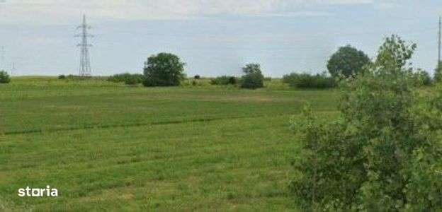 Teren extravilan Pogoanele, ID: R2586845 - Imagine principală: 5/7