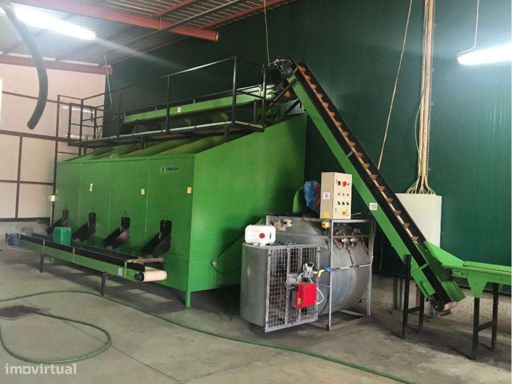 Estremoz Évora herdade 4ha com armazém de 600m2. Bom Investimento-6