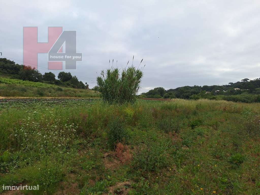 Terreno Rústico Plano com 15.560 m², 3 Poços e Eletricidade - Sapat...-5