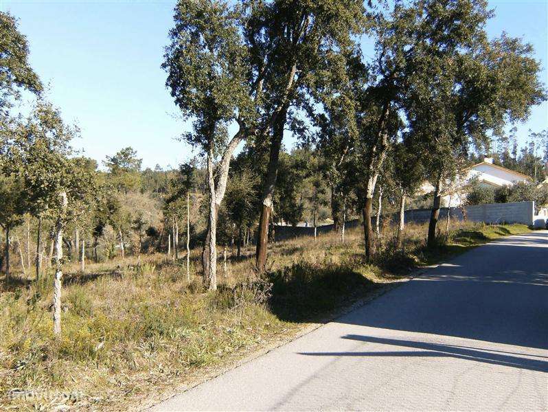 Terreno para construção, ourém - olival - Grande imagem: 3/6