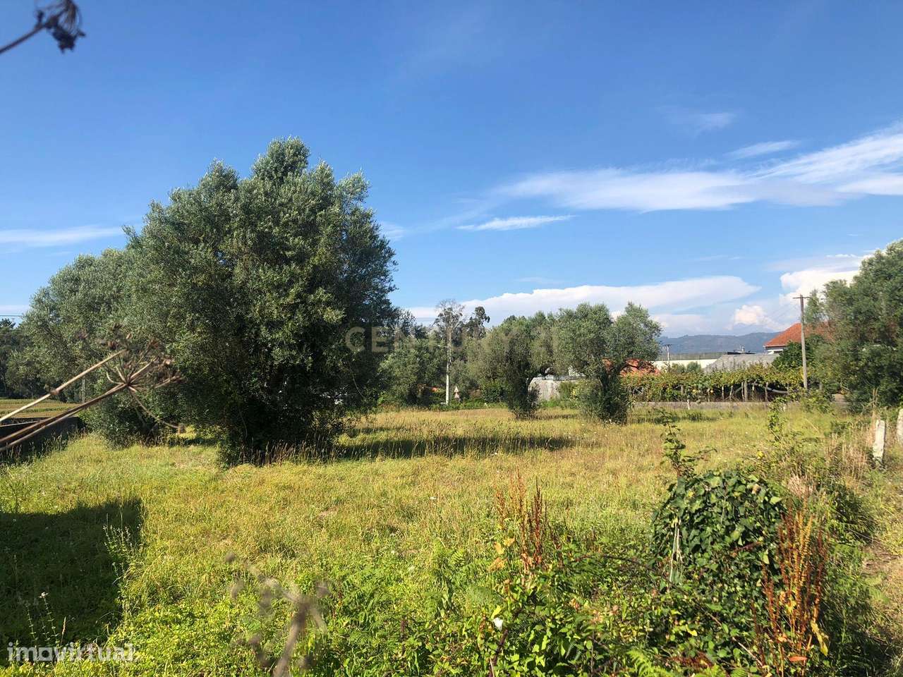 Terreno Rústico à Venda em Braga, Esposende - 110.000€ - Grande imagem: 2/13