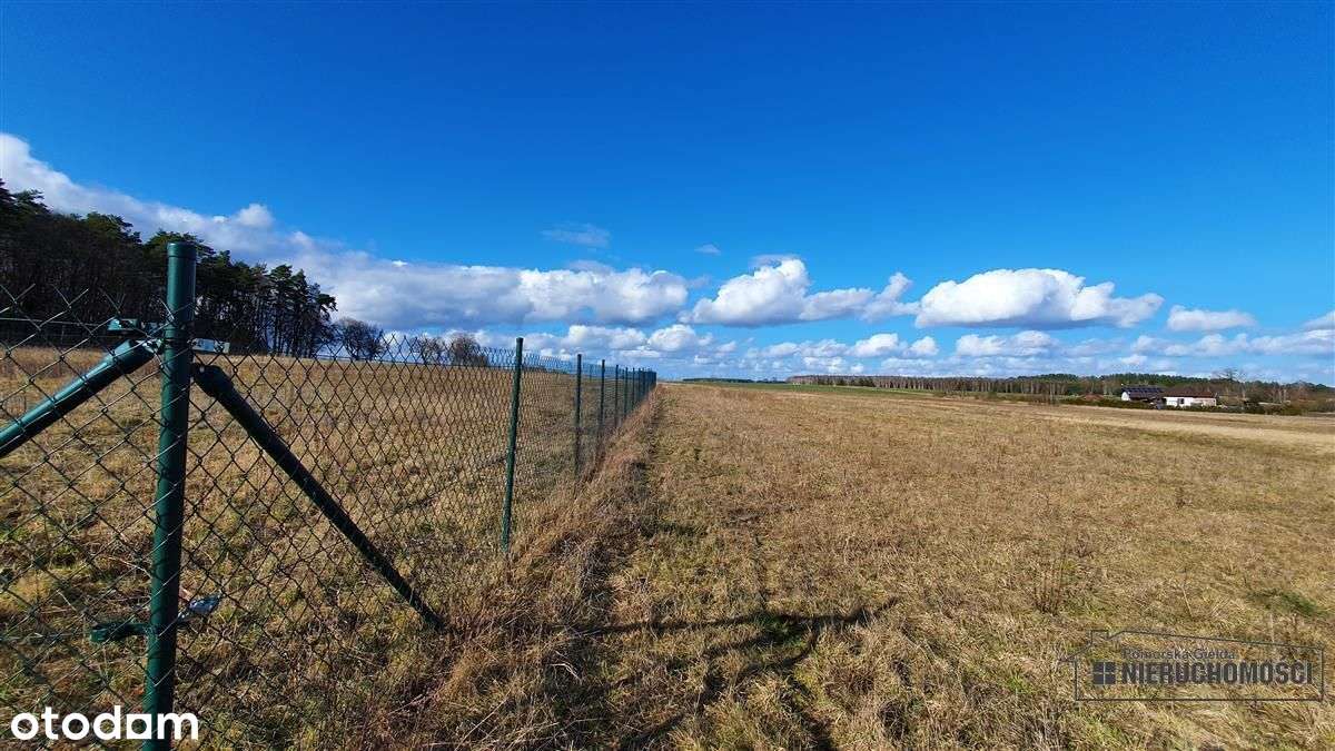 50 km od Morza Bałtyckiego, Sadkowo, tania działka-19