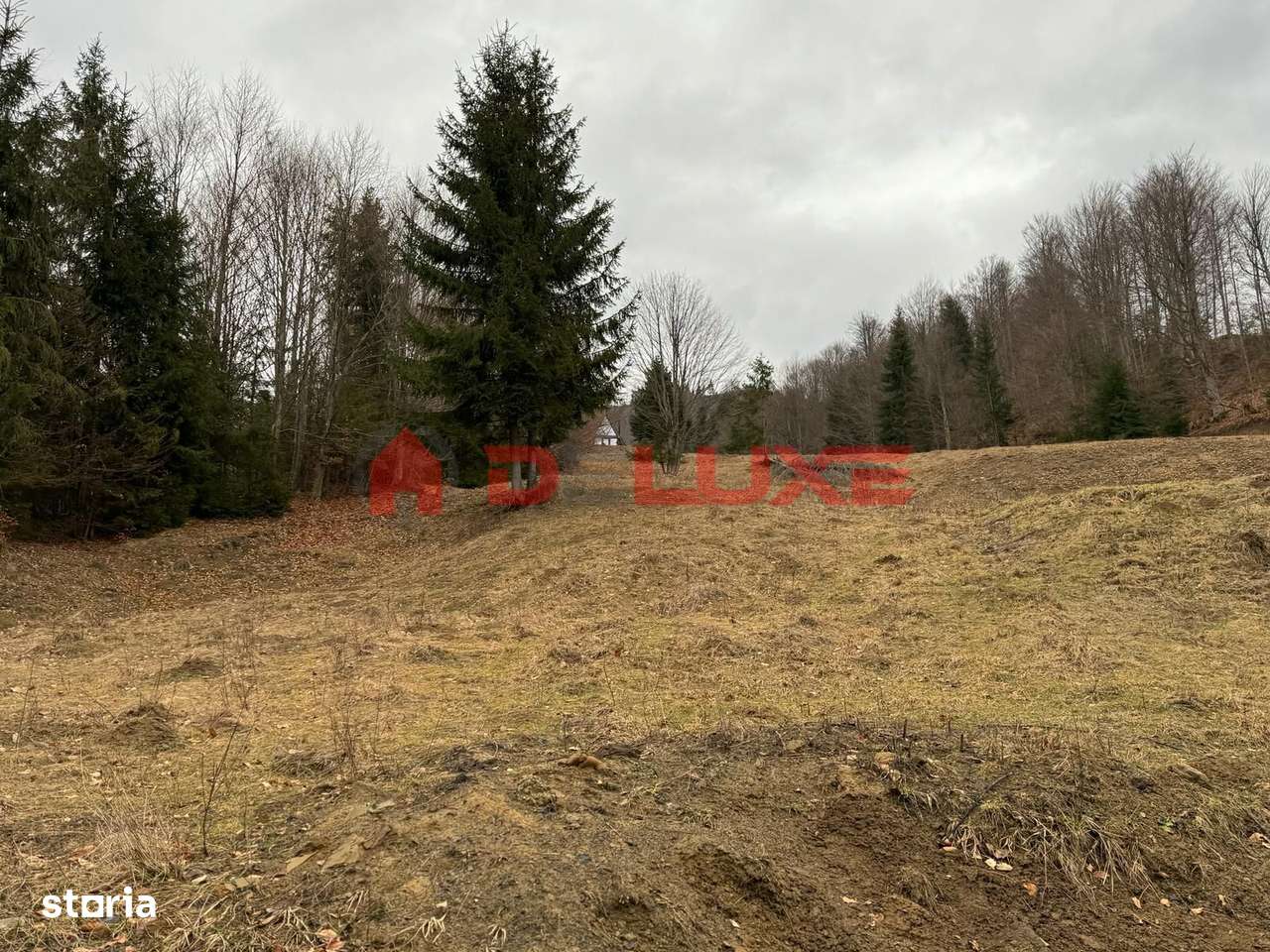 Teren intravilan Colibita-DJ 173 A-6