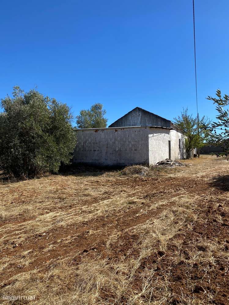 Armazém  Venda em Alcanena e Vila Moreira,Alcanena-5