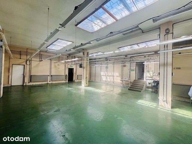 dsi-869731 - Pełny obrazek: 1/20