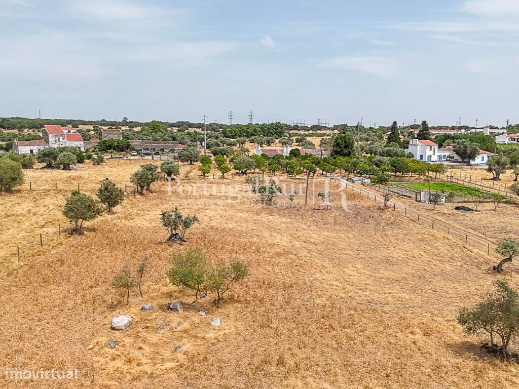 Encantadora quintinha alentejana-18
