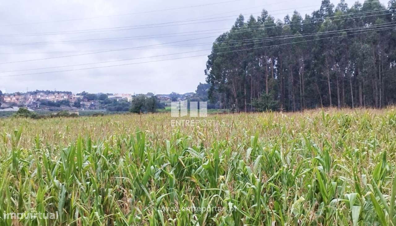 Venda de Terreno industrial com 14 490 m2, Guilhabreu, Vila do Conde - Grande imagem: 5/11