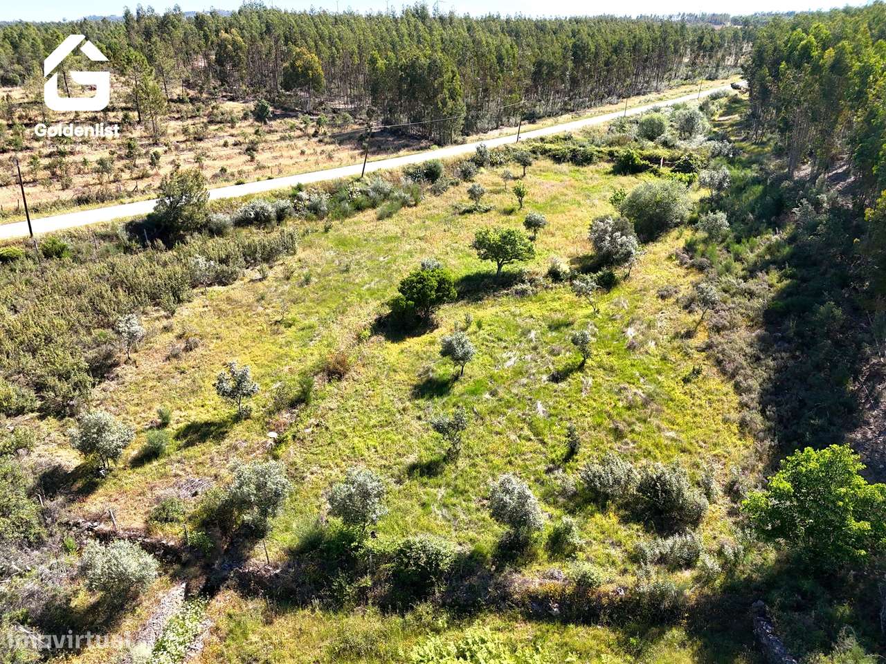 Quinta  Venda em Sarnadas de Ródão,Vila Velha de Ródão-34