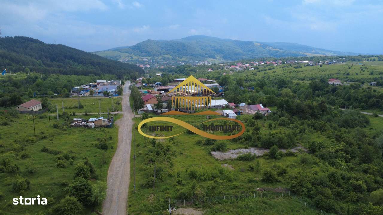 Teren pentru constructie hala indrustriala - Moinesti/Bacau - Imagine principală: 4/4