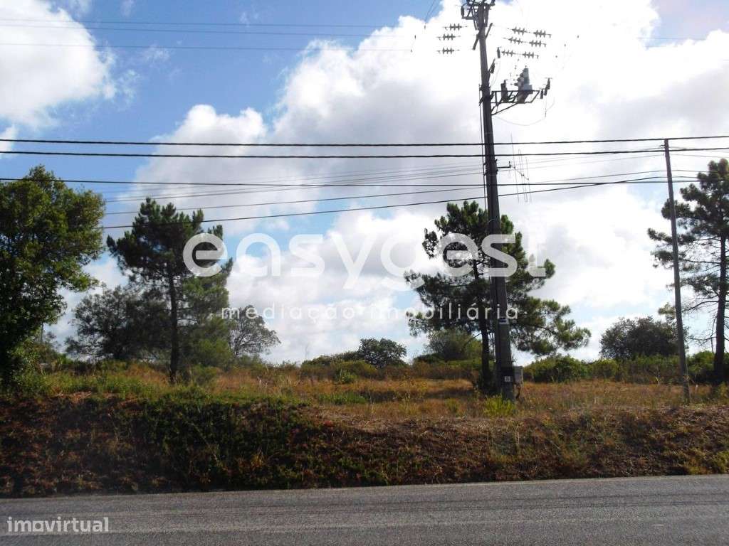 Terreno urbano perto de Tomar com 2950m2 para construção de moradia - Grande imagem: 3/14