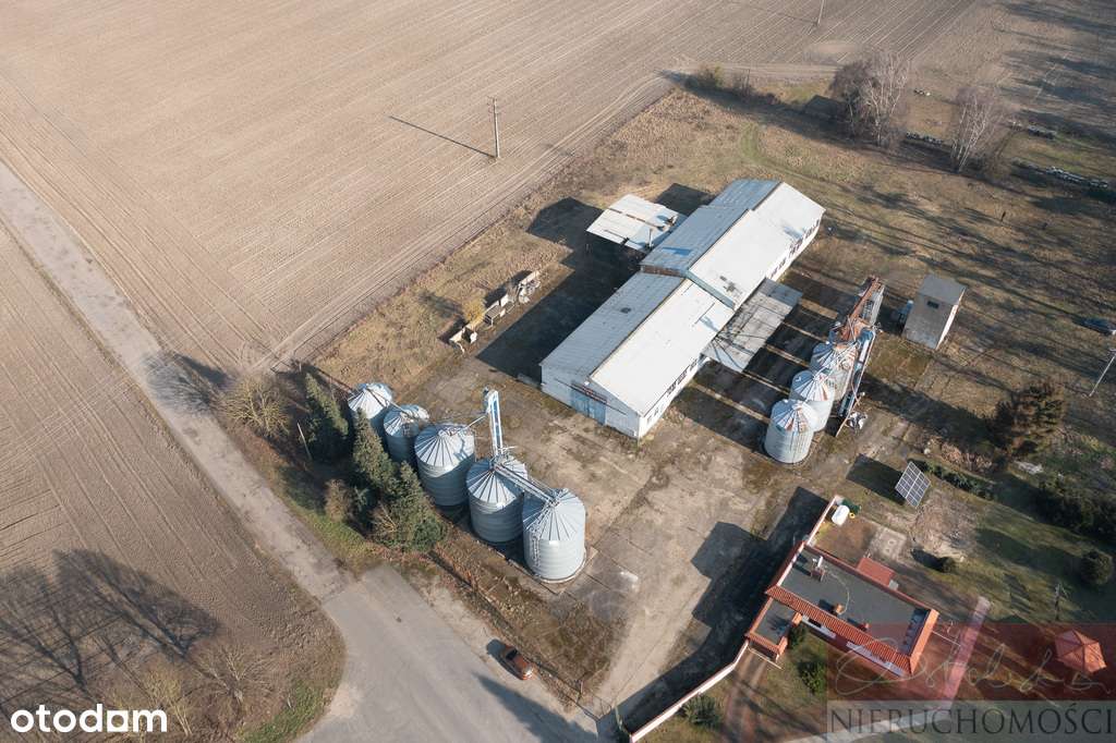 Grunty orne przy drodze 187 i obwodnicy Szamotuł-2