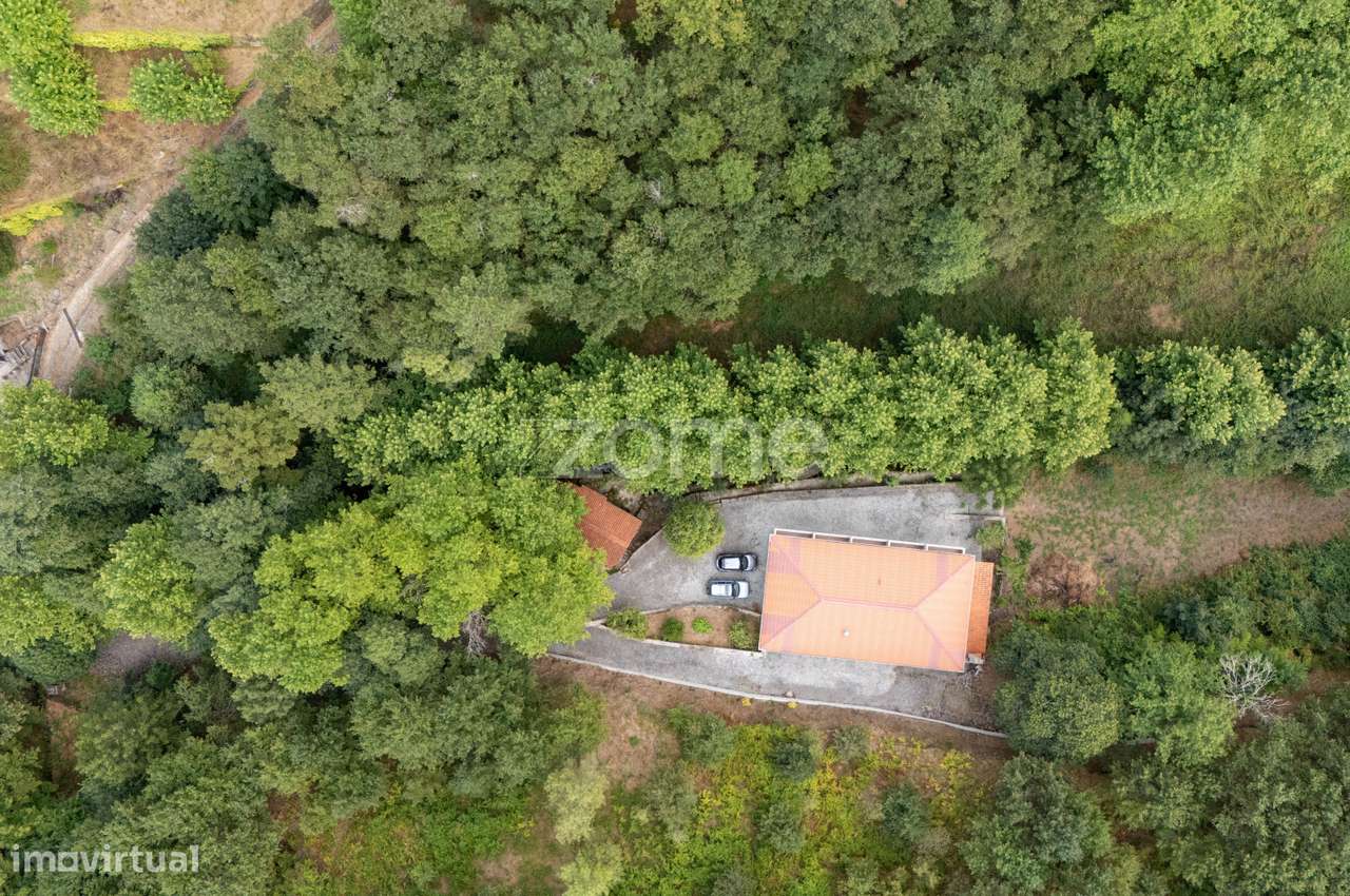 Quinta com Moínho e frente de Rio, Cabeceiras de Basto - Grande imagem: 5/60