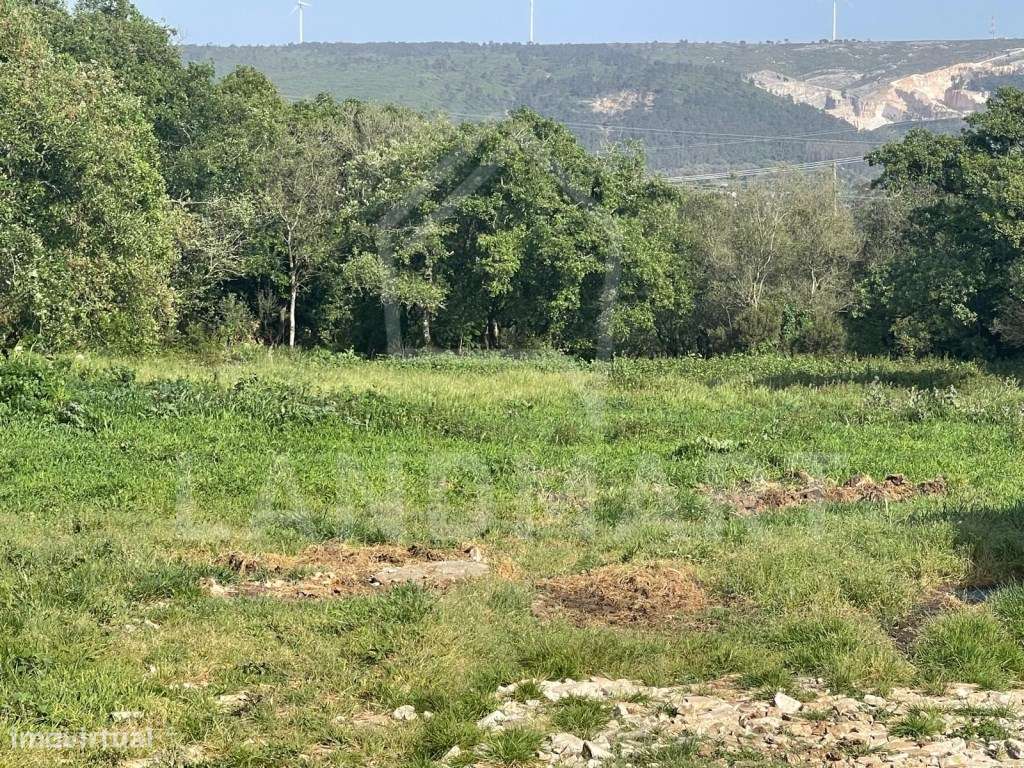 Pecuária e Terreno, Casal da Lagoa - Turquel-4