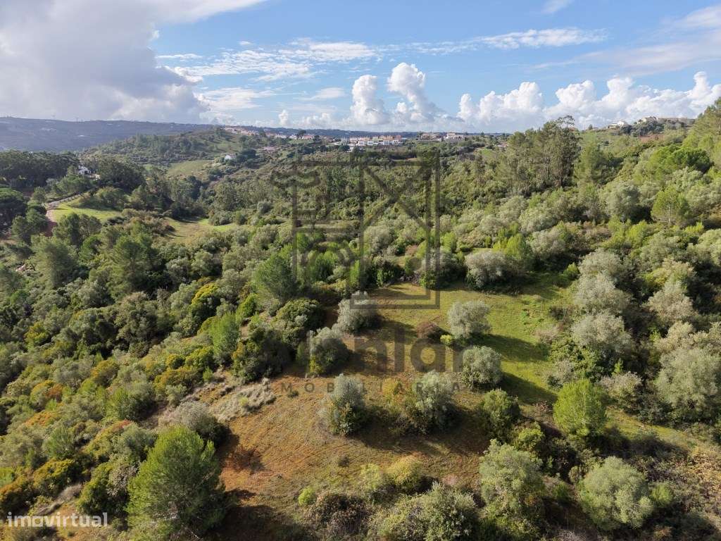 Oportunidade Única de Investimento Agrícola em Alenquer-17