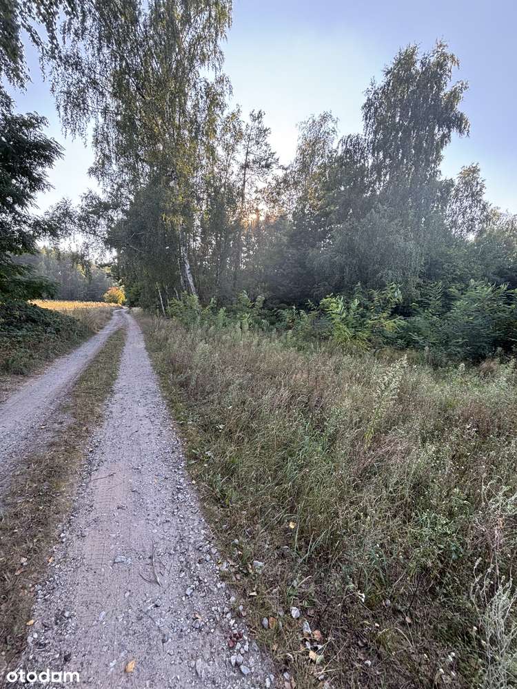 Malownicza działka budowlana, rekreacyjna - Pełny obrazek: 4/6