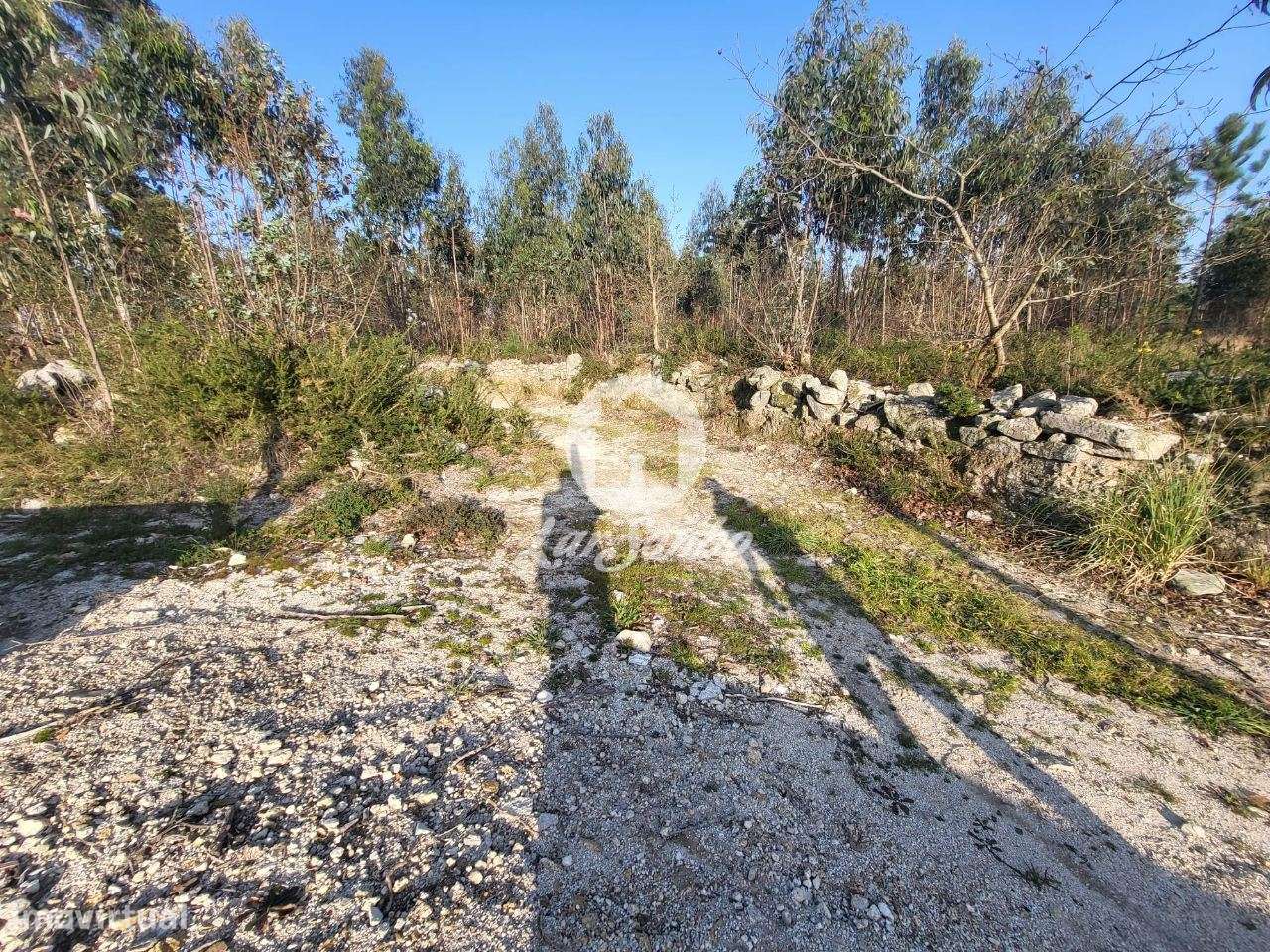 Terreno rústico c/ 7.000 m2 em Argivai, Póvoa de Varzim - Grande imagem: 4/4