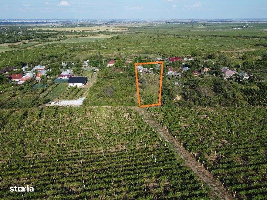Vindem Casa Focsani/Carligele 2050 mp teren 35000 euro negociabil - Imagine principală: 2/20